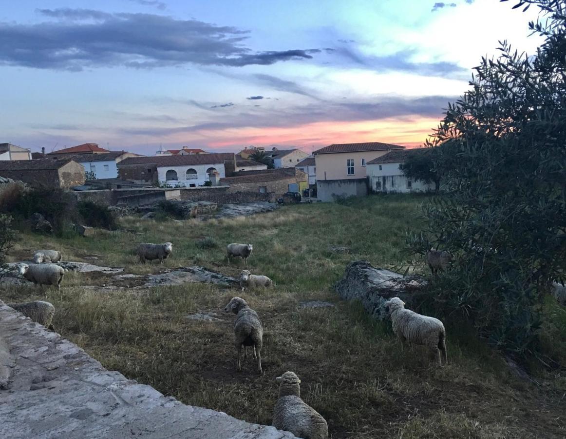 Casa - Apartamento Rural La Tahona Del Abuelo Plasenzuela Bagian luar foto